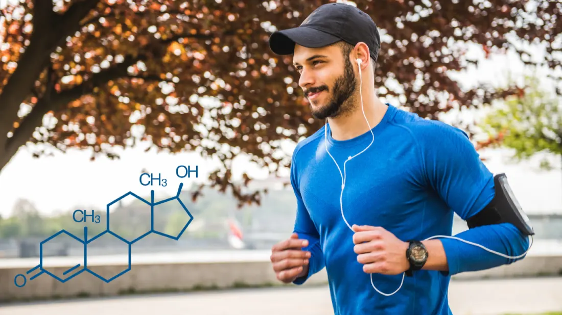 Testosterone Blood Levels and Men’s Health: A Complete Guide